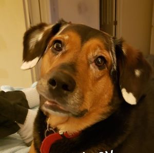 Meet your Posher, Joanne